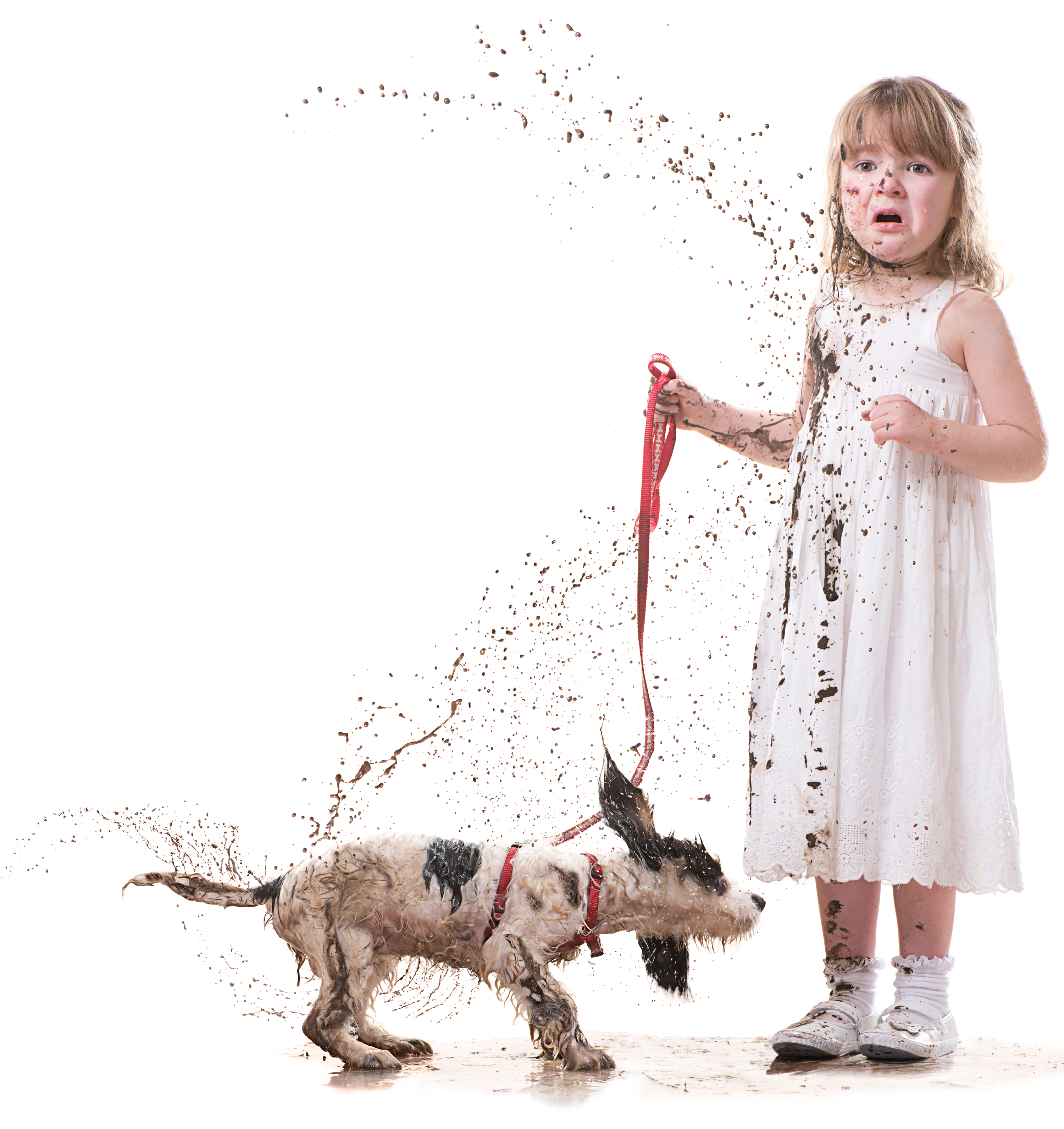 Dog splashing a girl with mud
