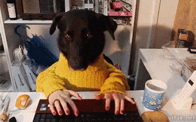 Typing dog animation