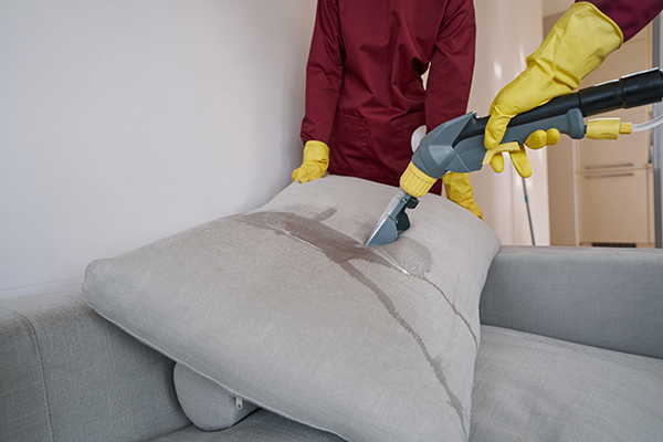 Cropped photo of experienced janitorial staff cleaning sofa cushion with steam cleaner